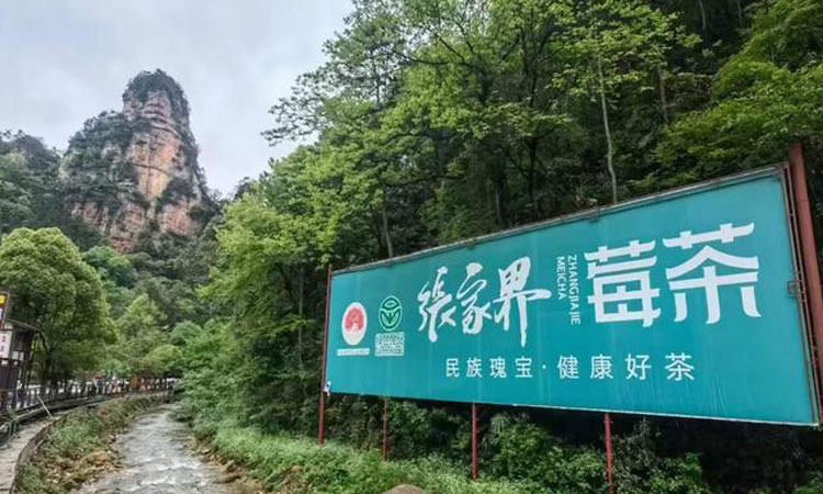 这是标题